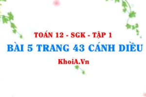 Bài 5 trang 43 Toán 12 tập 1 Cánh Diều